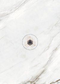 CALCUTTA C. - Porceliano plytelės