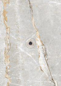 SILVER ROOTS C. - Porceliano plytelės