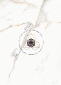 CARARA BROWN - Porceliano plytelės