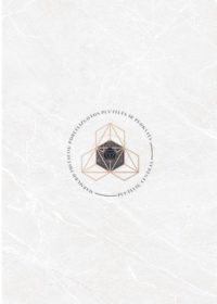 TAKENOS BIANCO - Porceliano plytelės