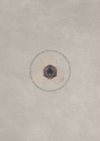 POLAR GRIS - Porceliano plytelės