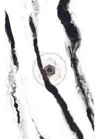 PANDA WHITE - Porceliano plytelės