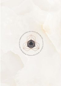 SNOW ONYX - Porceliano plytelės