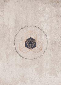 ETHICS GREY - Porceliano plytelės