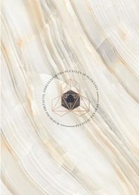 ONYX PEARL - Porceliano plytelės