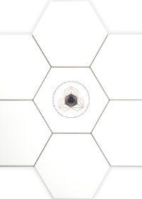 WHITE HEXAGON - porceliano plytelės