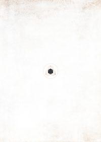 MANHATTAN WHITE - Porceliano plytelės